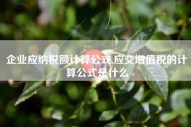 企业应纳税额计算公式,应交增值税的计算公式是什么