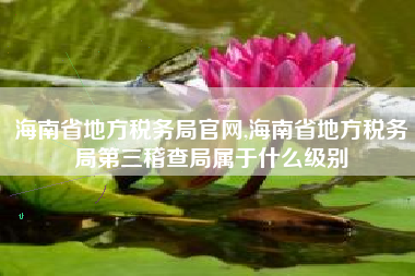 海南省地方税务局官网,海南省地方税务局第三稽查局属于什么级别