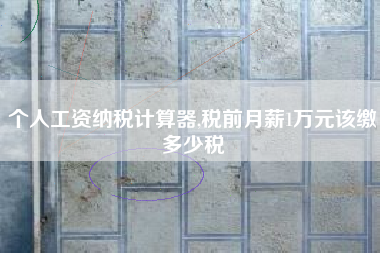 个人工资纳税计算器,税前月薪1万元该缴多少税