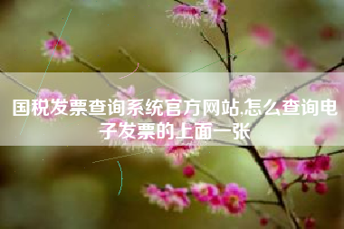 国税发票查询系统官方网站,怎么查询电子发票的上面一张