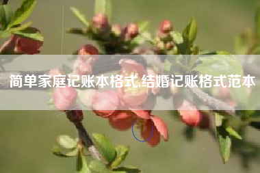 简单家庭记账本格式,结婚记账格式范本