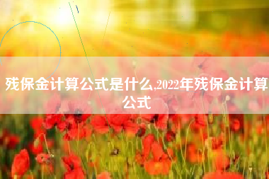 残保金计算公式是什么,2022年残保金计算公式