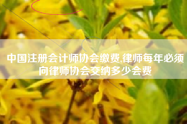 中国注册会计师协会缴费,律师每年必须向律师协会交纳多少会费