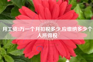 月工资3万一个月扣税多少,应缴纳多少个人所得税