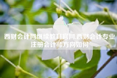 西财会计网继续教育官网,西财会计专业注册会计师方向如何
