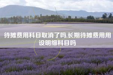 待摊费用科目取消了吗,长期待摊费用用设明细科目吗
