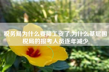 税务局为什么要降工资了,为什么基层国税局的报考人员逐年减少