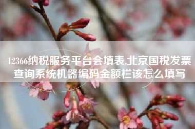12366纳税服务平台会填表,北京国税发票查询系统机器编码金额栏该怎么填写