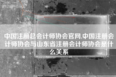 中国注册总会计师协会官网,中国注册会计师协会与山东省注册会计师协会是什么关系