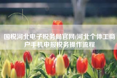 国税河北电子税务局官网(河北个体工商户手机申报税务操作流程
)
