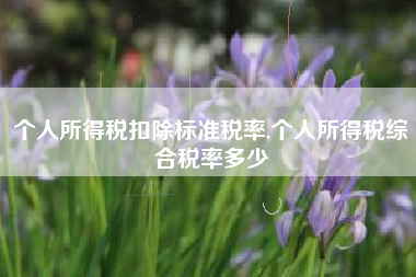 个人所得税扣除标准税率,个人所得税综合税率多少