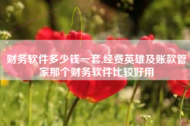 财务软件多少钱一套,经费英雄及账款管家那个财务软件比较好用