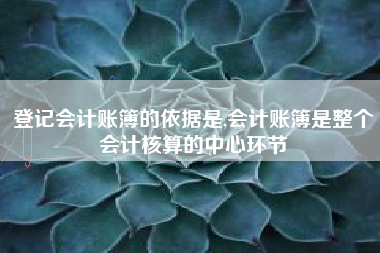 登记会计账簿的依据是,会计账簿是整个会计核算的中心环节