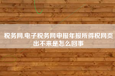 税务网,电子税务网申报年报所得税网页出不来是怎么回事