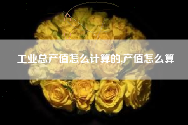 工业总产值怎么计算的,产值怎么算