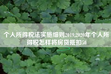 个人所得税法实施细则2019,2020年个人所得税怎样将房贷抵扣50