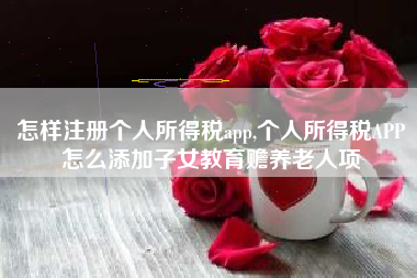 怎样注册个人所得税app,个人所得税APP怎么添加子女教育赡养老人项