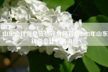 山东会计信息资格评价网官方,2023年山东初级会计报名流程