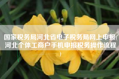 国家税务局河北省电子税务局网上申报(河北个体工商户手机申报税务操作流程
)