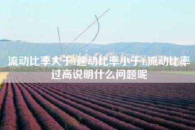 流动比率大于1速动比率小于1,流动比率过高说明什么问题呢