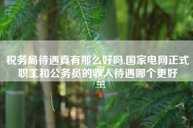 税务局待遇真有那么好吗,国家电网正式职工和公务员的收入待遇哪个更好