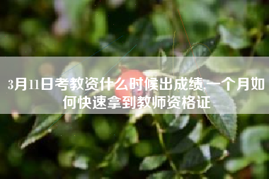3月11日考教资什么时候出成绩,一个月如何快速拿到教师资格证