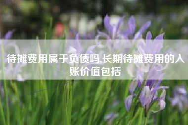 待摊费用属于负债吗,长期待摊费用的入账价值包括