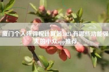 厦门个人所得税计算器2021,有哪些功能强大的小众app推荐