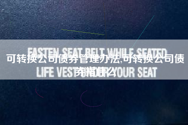 可转换公司债券管理办法,可转换公司债券指什么