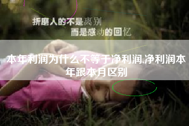 本年利润为什么不等于净利润,净利润本年跟本月区别
