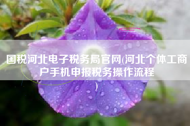 国税河北电子税务局官网(河北个体工商户手机申报税务操作流程
)