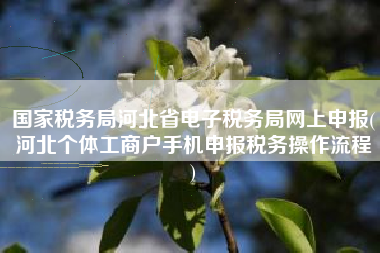 国家税务局河北省电子税务局网上申报(河北个体工商户手机申报税务操作流程
)