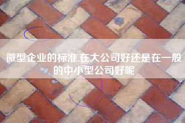 微型企业的标准,在大公司好还是在一般的中小型公司好呢