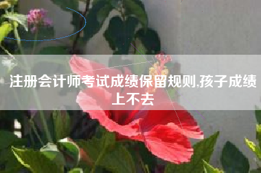 注册会计师考试成绩保留规则,孩子成绩上不去