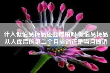 计入低值易耗品还要摊销吗,低值易耗品从入库后的第二个月摊销还是当月摊销