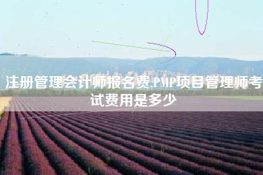 注册管理会计师报名费,PMP项目管理师考试费用是多少