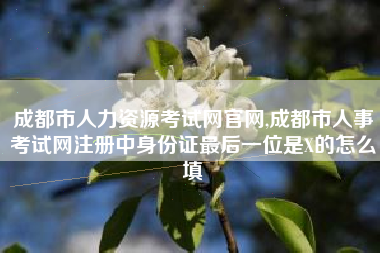 成都市人力资源考试网官网,成都市人事考试网注册中身份证最后一位是X的怎么填