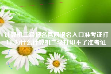 计算机二级报名官网报名入口准考证打印,为什么计算机二级打印不了准考证