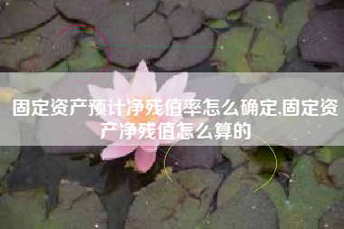 固定资产预计净残值率怎么确定,固定资产净残值怎么算的