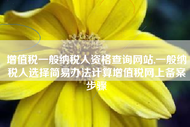 增值税一般纳税人资格查询网站,一般纳税人选择简易办法计算增值税网上备案步骤