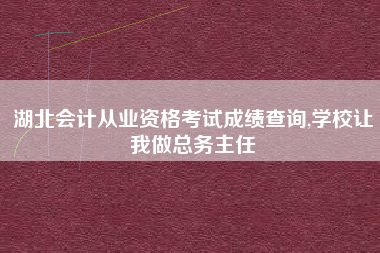 湖北会计从业资格考试成绩查询,学校让我做总务主任