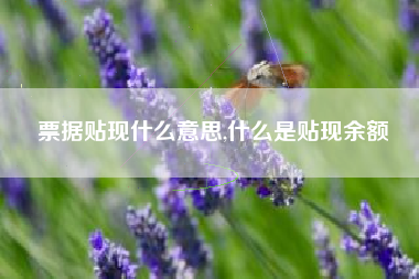 票据贴现什么意思,什么是贴现余额