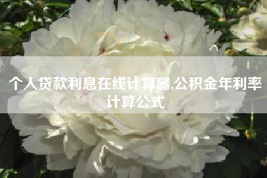 个人贷款利息在线计算器,公积金年利率计算公式