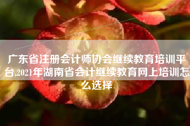广东省注册会计师协会继续教育培训平台,2021年湖南省会计继续教育网上培训怎么选择