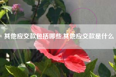 其他应交款包括哪些,其他应交款是什么
