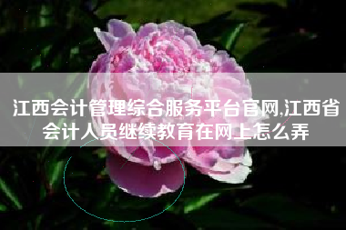 江西会计管理综合服务平台官网,江西省会计人员继续教育在网上怎么弄