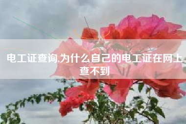 电工证查询,为什么自己的电工证在网上查不到