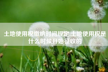 土地使用税缴纳时间规定,土地使用税是什么时候开始征收的