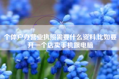 个体户办营业执照需要什么资料,比如要开一个店卖手机跟电脑