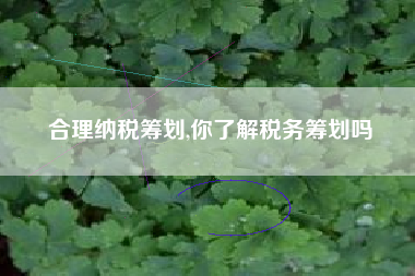 合理纳税筹划,你了解税务筹划吗